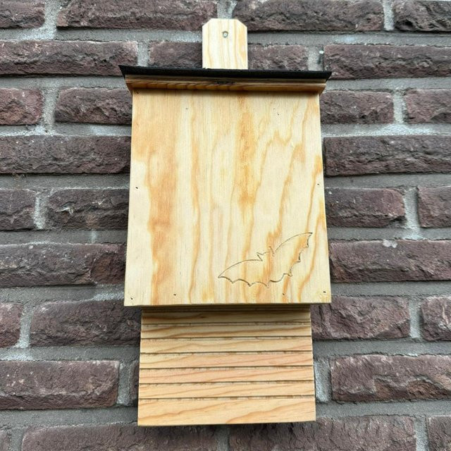 Fledermauskasten - Bild 1