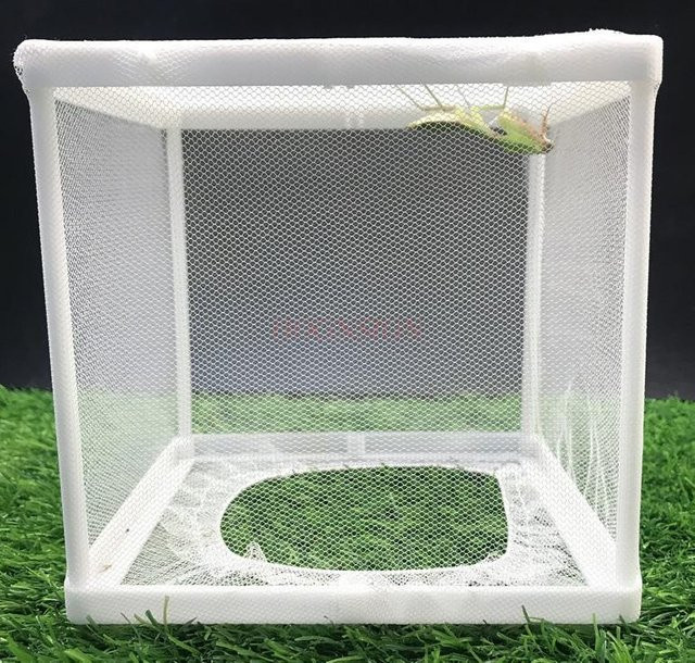 Binchi Outdoor Product Schmetterlings-Mantis Zuchtnetz Käfig, Insektennetz Käfig - Bild 1