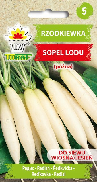 Toraf Radieschen Saatgut Sipel Lodu Weiß, 10 g - Bild 1