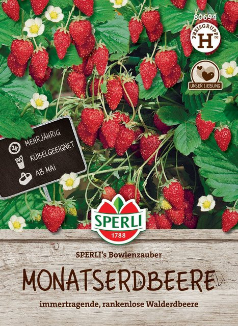 SPERLI Monatserdbeeren-Samen Bowlenzauber weiß - Bild 1