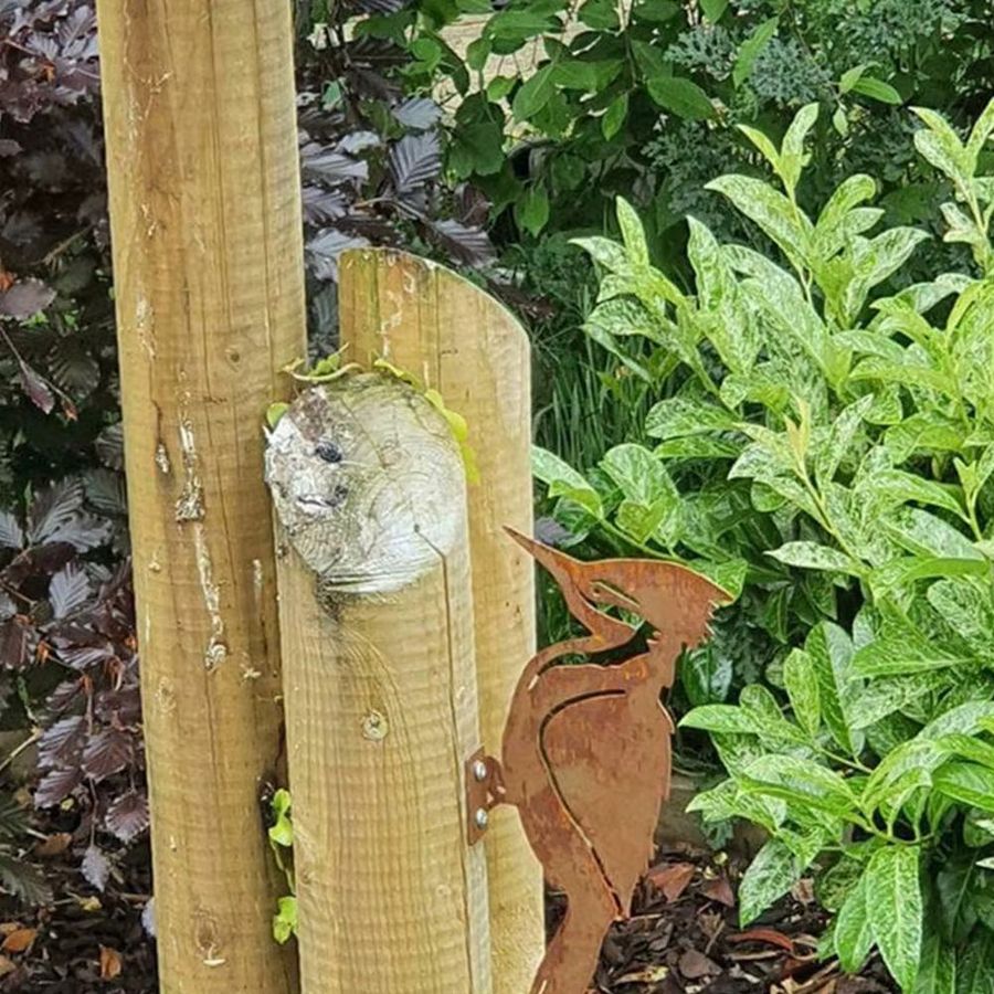 Robin Design Rostige Vogelsilhouetten aus Metall als Specht-Dekoration für den Gartenzaun - Bild 3