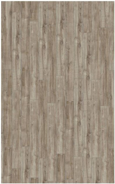 Kronotex Laminatboden Aqua Amazone in Holzoptik, Farbe Silber-Braun, B/L: 15,7 x 138 cm, 1,3 m² pro Paket - Bild 1