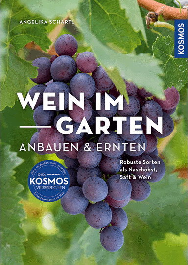 Wein im Garten anbauen & ernten von Angelika Schartl, Broschiert - Bild 1