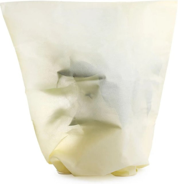 Toboli 2er-Set Winterschutz Pflanzenvlies Schutzhaube Beige, B/H: 120 x 180 cm, 70g/m² - Bild 1