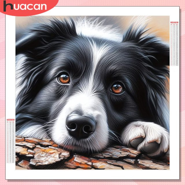 HUACAN Diamant-Mosaik-Set Hund Tier mit Rundbohrern in Multicolour als handgefertigtes Strass-Bild - Bild 1