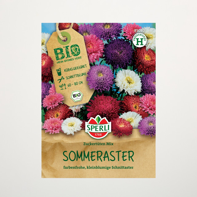 Sperli Sommerastern Zuckertüten Mix Bio Schnittblumen Samen - Bild 1