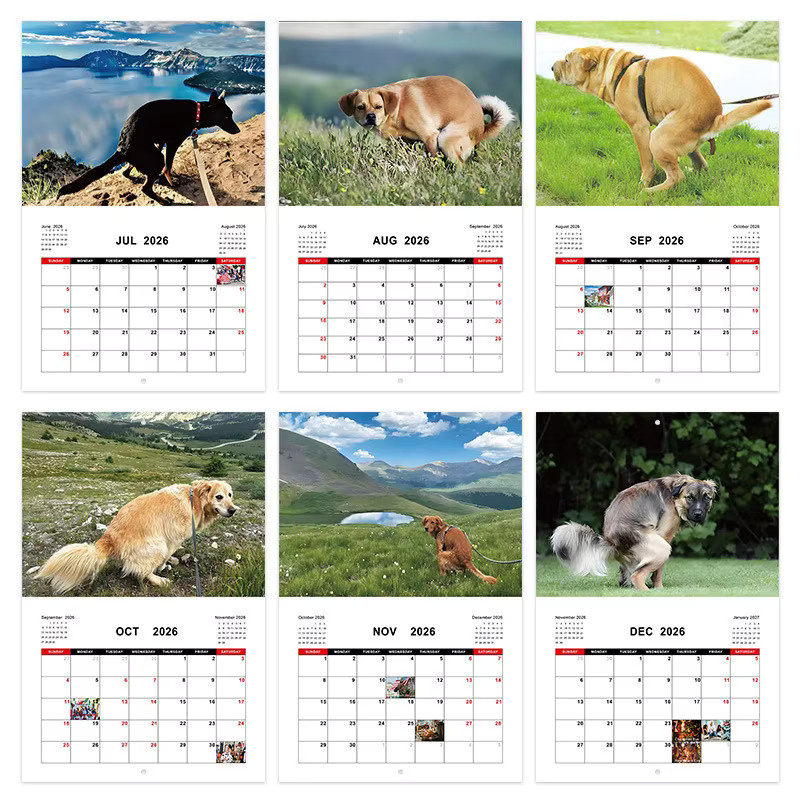 2026 Hundekot Wandkalender mit lustigem Tier-Humor Design in Multicolour - Bild 3