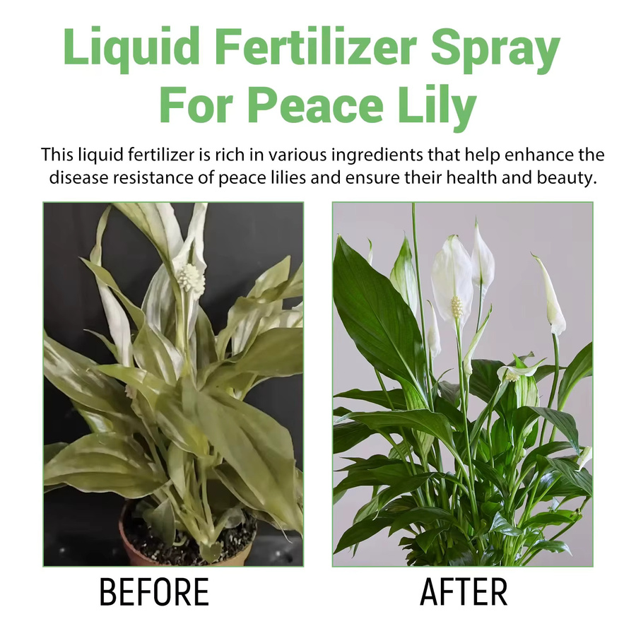 MOONSPRY Rooting Booster Flower Nutrient Solution Flüssigdünger für Hydrokultur-Gartenpflanzen, 100 ml - Bild 2