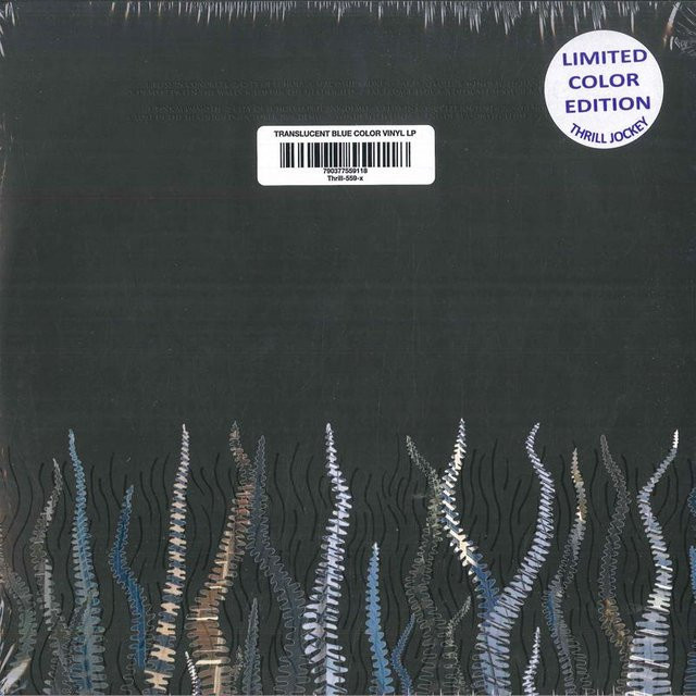 Pelican City Of Echoes LP Schallplatte auf weißem Vinyl von Thrill Jockey (Rock) - Bild 1