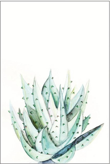 Komar Wandbild Aloe Watercolor in Grün, B: 30 cm, H: 40 cm - Bild 1