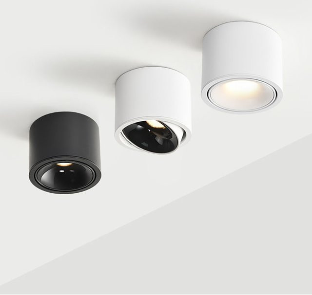ROANJUNYH LED-Aufputz-Kleindeckenleuchte mit COB-Technologie, verstellbarer Winkel, Warmweiß 3000K, Weiß - Bild 1
