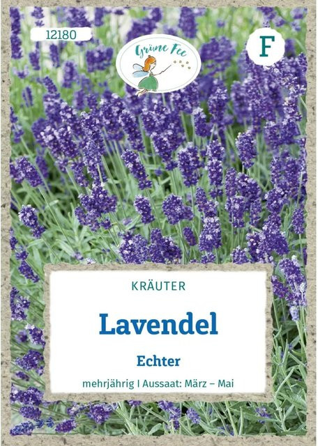 Grüne Fee Lavendel Saatgut für Würzkräuter und Tee - Bild 1