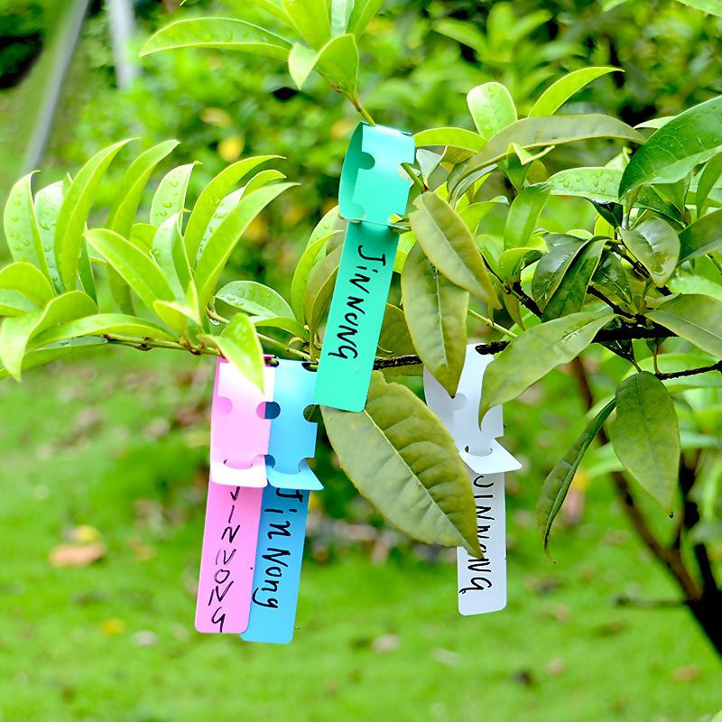 50 Stück wasserdichte Pflanzenmarkierungen aus PVC für Garten und Pflanzgefäße - Bild 3