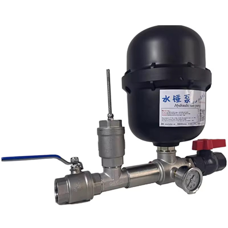 LZHZXY Wasser-Ram-Pumpenset aus Edelstahl im Pistolenstil für den Einbau in Flussdämme mit Einzel- oder Doppelventilen - Bild 2