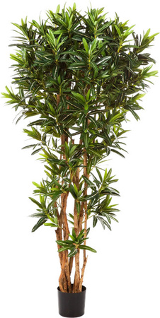 Künstlicher Croton Reflexa Kunstbaum von Aplanta, Höhe: 150 cm