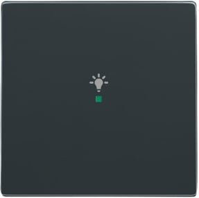Busch-Jaeger Wippe 1-fach mit Licht-Symbol in Anthrazit 6231-10-81 - Bild 1
