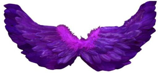 Linggo Engelsfederflügel, Lila, Fantasy, mit elastischen Trägern - Bild 1