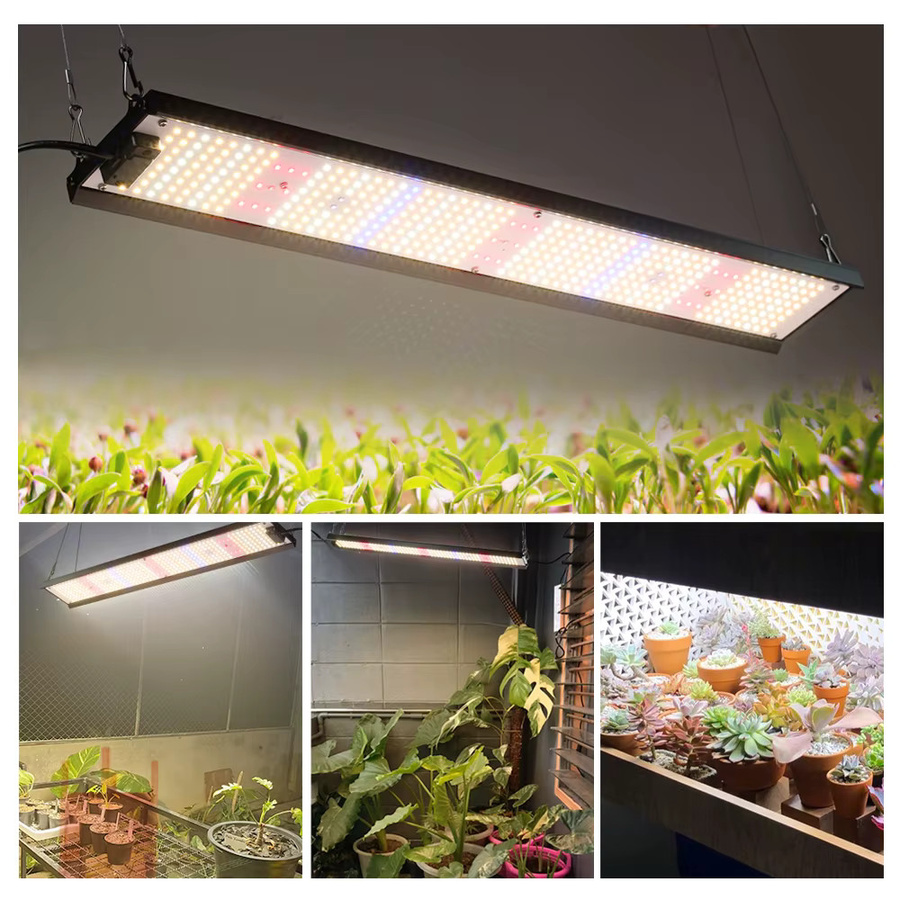 GRAXGROW 85W Langstreifen-LED-Pflanzenlampe mit Vollspektrum, Aluminium-Panel-Leuchte in Schwarz für Gewächshaus und Growzelt - Bild 4