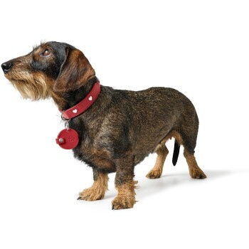 Hunter Anhänger Hundemarken-Etui Love, S, Unisex - Bild 2