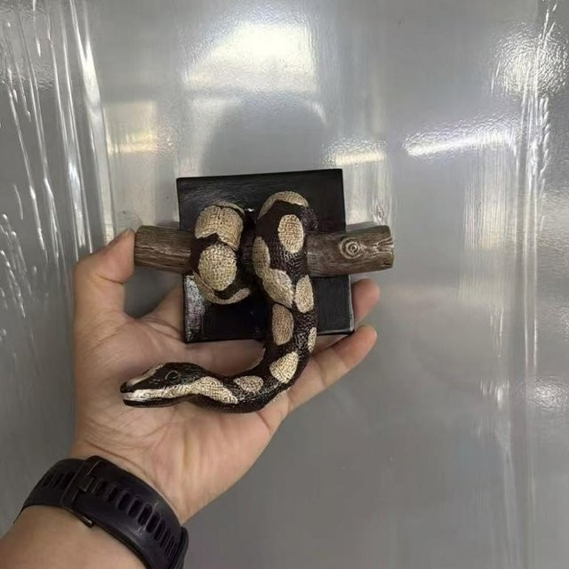 Binchi Outdoor Product Wandkunst Goldene Ballpython aus Harz in Braun als realistisches Reptilien-Wandornament - Bild 1