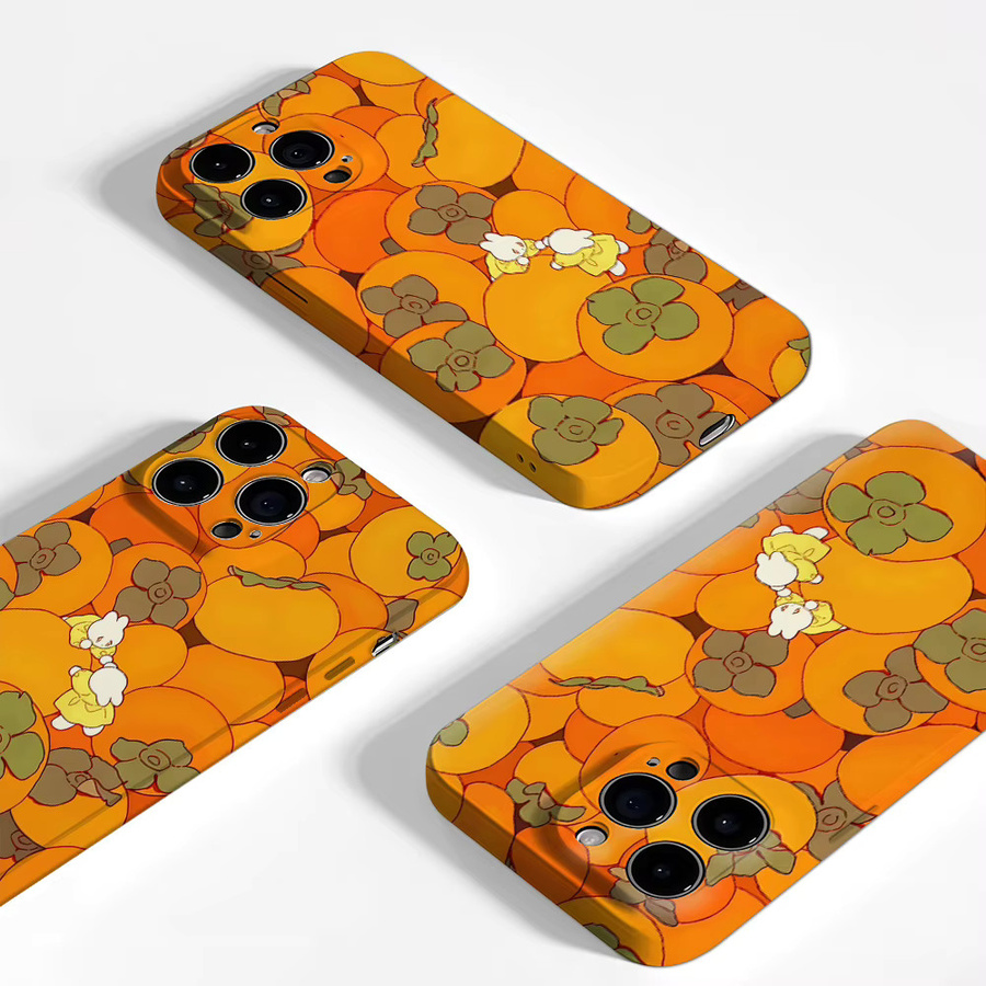 Persimmon Party Magnetische Handyhülle für iPhone 17 16 15 14 13 Pro Max Plus in Orange, Robuste Einzel- und Doppelschicht-Schutzhülle - Bild 3