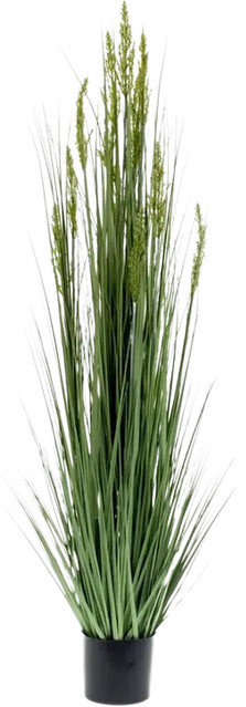 Künstliches Gras Henrik von Aplanta, Höhe: 150 cm - Bild 1