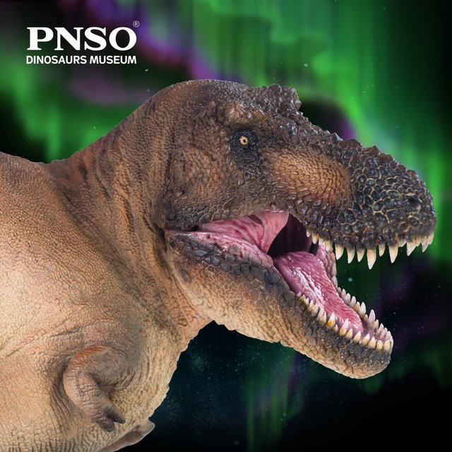 Pnso Dinosaurier Museen Serie, Andrea das Tyrannosaurus Rex, Kunstmodell - Bild 1