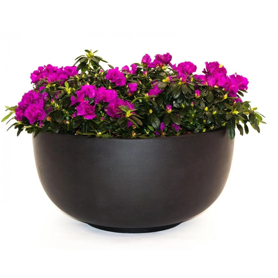 Runder Pflanzkübel aus Fiberglas von Elegant Einrichten in Schwarz Matt, Durchmesser: 70 cm, Höhe: 35 cm - Bild 2