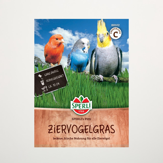 Sperli Ziervogelgras SPERLI's Pitti Samen für gefiederte Mitbewohner - Bild 1