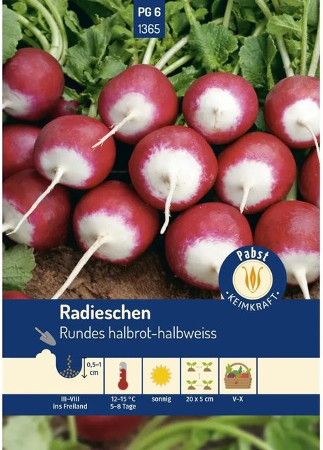 Pabst Keimkraft Radieschen Saatgut Fest und Zweifarbig Rundes Halbrot-Halbweiss - Bild 1