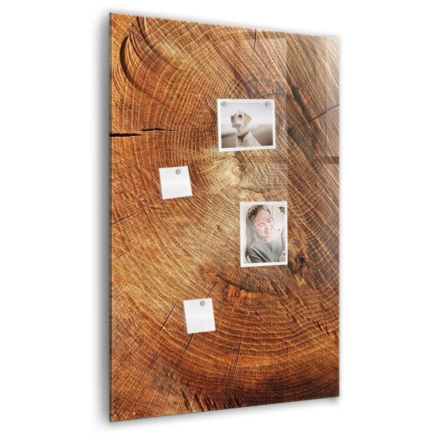 Tulup Magnettafel aus Glas mit Querschnitt des Stammes in Weiß und Braun, B: 90 cm, H: 60 cm - Bild 2