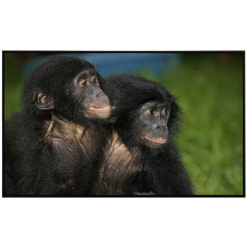 papermoon EcoHeat Infrarotheizung Baby Bonobos, bunt mit Matt-Effekt, App-Steuerung und Überhitzungsschutz - Bild 2