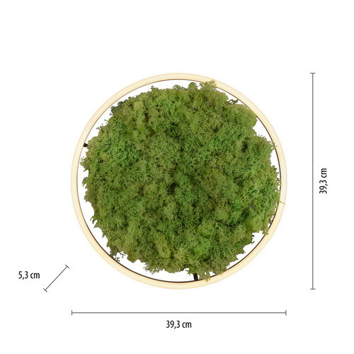 JUST LIGHT LED-Deckenleuchte GREEN RITUS, rund, Moos, Farbe: Grün, Durchmesser: 39,3 cm - Bild 3