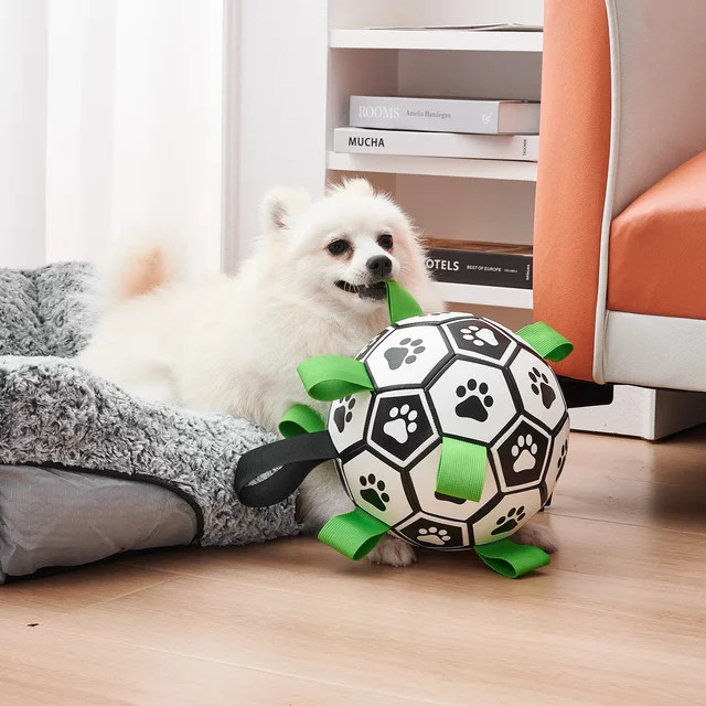 PETART Hundespielzeug, Fußball mit Riemen, interaktives Hundespielzeug - Bild 1