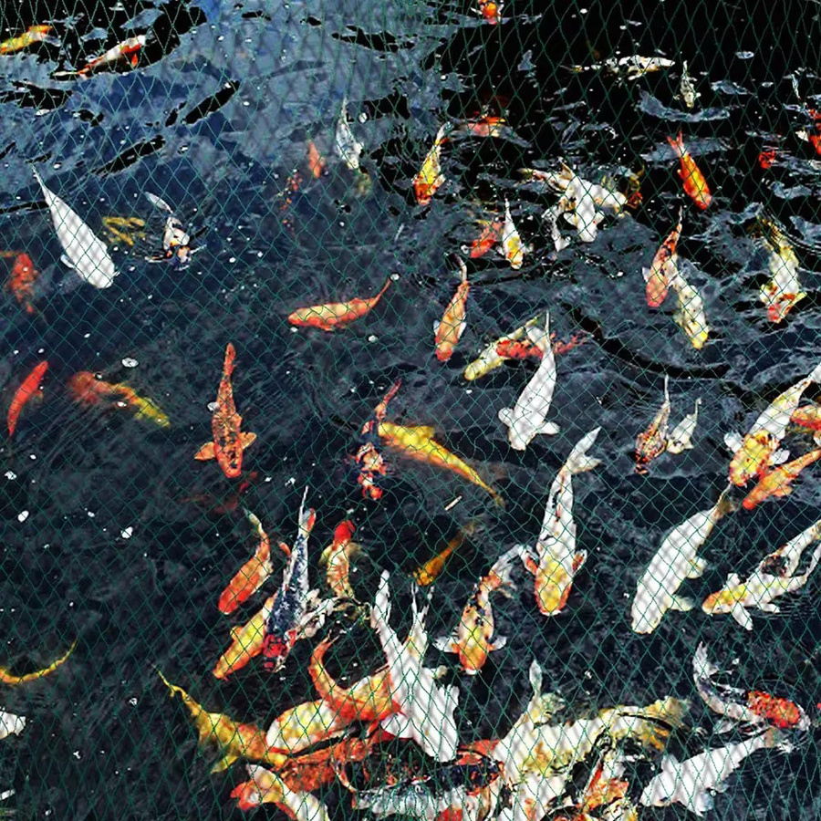 Anti-Vogel-Netz als Teichabdeckung und Schutznetz für Schwimmbecken zur Reinigung von Blättern - Bild 5