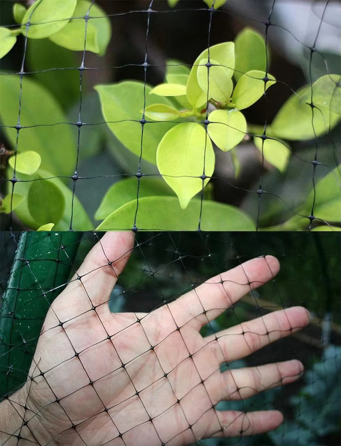 Wildschutznetz Schwarz für Vögel und Rehe, wiederverwendbares Schutznetz für Pflanzen, Obstbäume und Gemüse, Breite: 2,1 m, Länge: 30 m - Bild 5