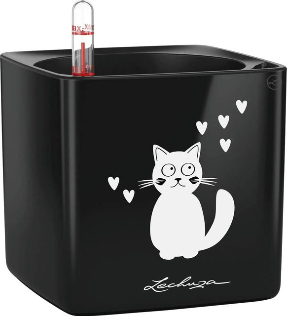 Lechuza Pflanzgefäß Cube Glossy Cat Schwarz B/T/H: 14 x 14 x 14 cm - Bild 1