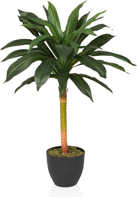hjh OFFICE Kunstpflanze Dracaena als Tischdeko in Grün aus Kunststoff - Bild 1