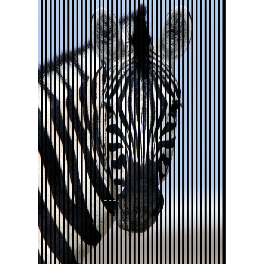FN Acustico Akustikplatte Zebra Multicolor aus PET und MDF, H x B x T: 2.400 x 1.693 x 19,0 mm - Bild 2