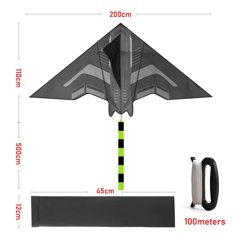 Yongjian Flugzeugdrachen Delta-Drachen, 2m - Bild 3