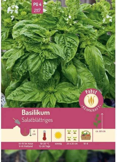 Pabst Keimkraft Basilikum Saatgut salatblättrig und aromatisch - Bild 1