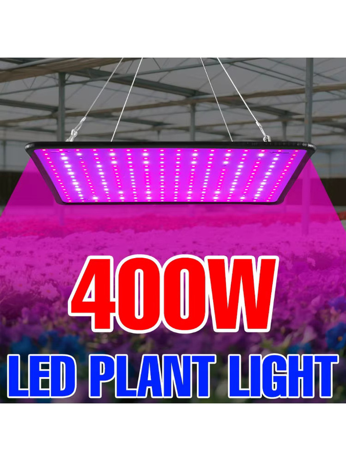 CanLing LED Pflanzenlampe 400 W Vollspektrum Quantum Board in Schwarz für Indoor Anbau von Obst, Gewächshaus und Sukkulenten - Bild 4