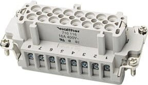 Walther Werke Buchseneinsatz B16 0,5-2,5 20-14AWG in Grau - Bild 1