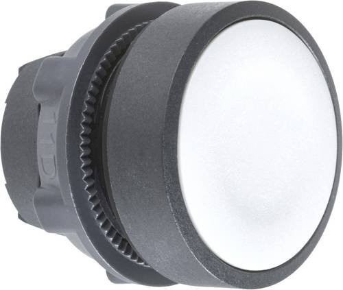 Schneider Electric ZB5AA8 Drucktaster-Frontelement mit 1 Taste zur Druckentriegelung in Weiß - Bild 1