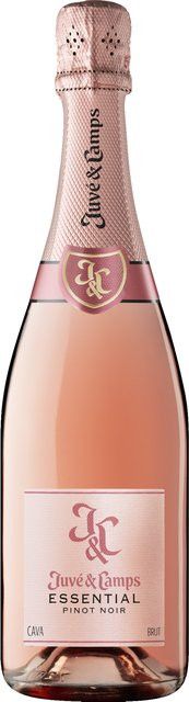 Juvé & Camps Cava Pinot Noir Brut, Spanien, 12,0 %, 0,75 l - Bild 1