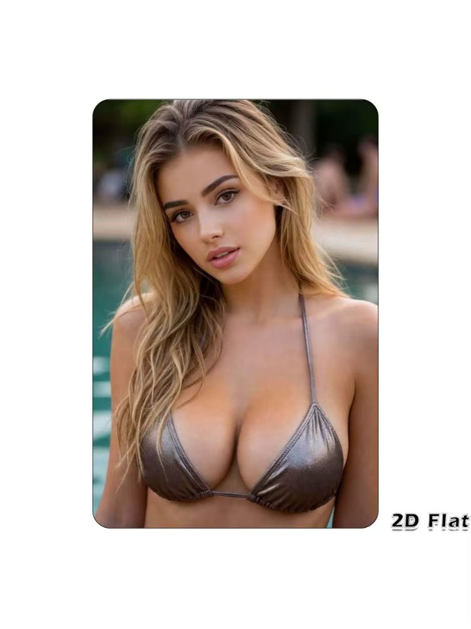 CIFBUY Vintage Metallschild Bikini-Pool Wanddekoration in Silber-Grau, B/H: 30,0 x 20,0 cm - Bild 2