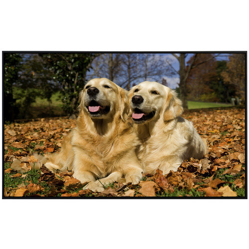 papermoon EcoHeat Infrarotheizung Golden Retriever mit Matt-Effekt in Bunt, App-Steuerung und Überhitzungsschutz - Bild 2