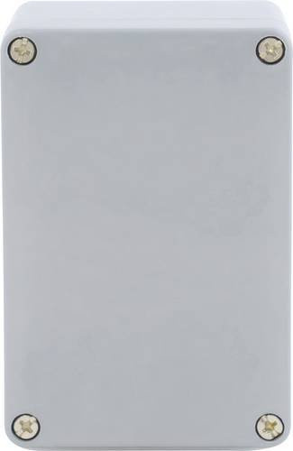 Boxexpert Elbe Industrie-Gehäuse aus glasfaserverstärktem Kunststoff in Grau, B/T/H: 75 x 100 x 55 cm - Bild 1