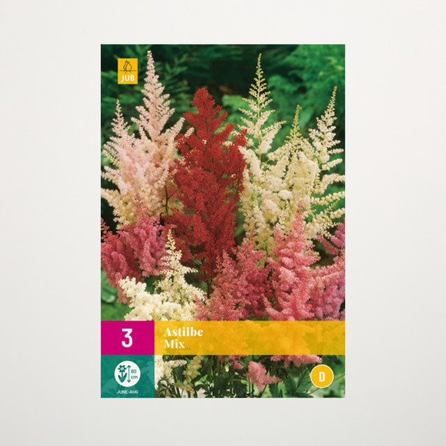 Astilben Mix von BLUME2000 mit 3 Knollen für Garten, Balkon und Terrasse - Bild 1