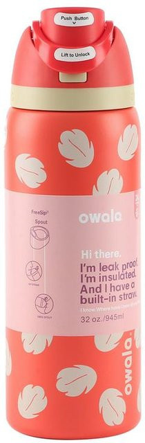 HauteHive Disney Edelstahl Trinkbecher mit Strohhalm und Deckel, Pink, 32oz - Bild 1